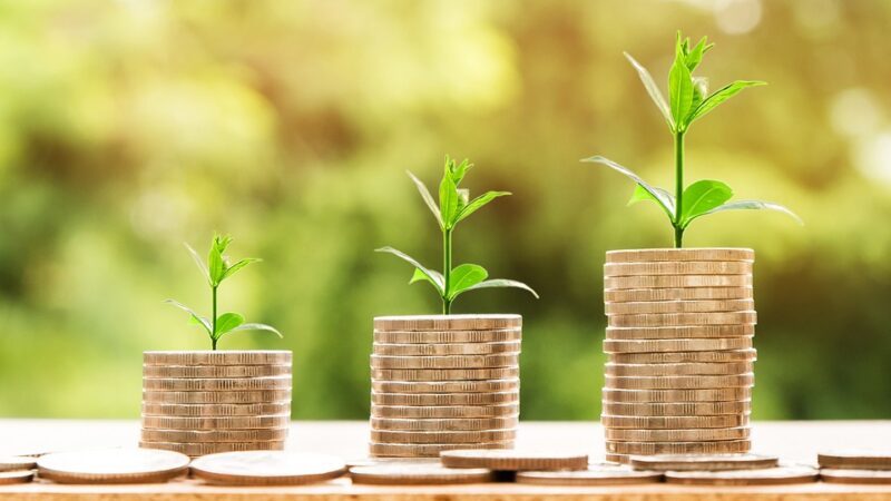 The Rise of ESG Investing: Investing with Purpose